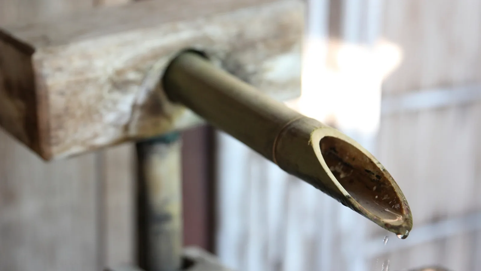 St. Pete Family Plumbing plumbing contractors in St. Petersburg