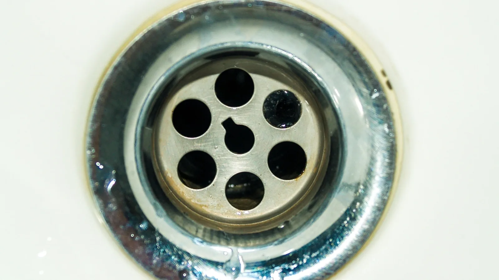 Sewer repair in Pinellas County